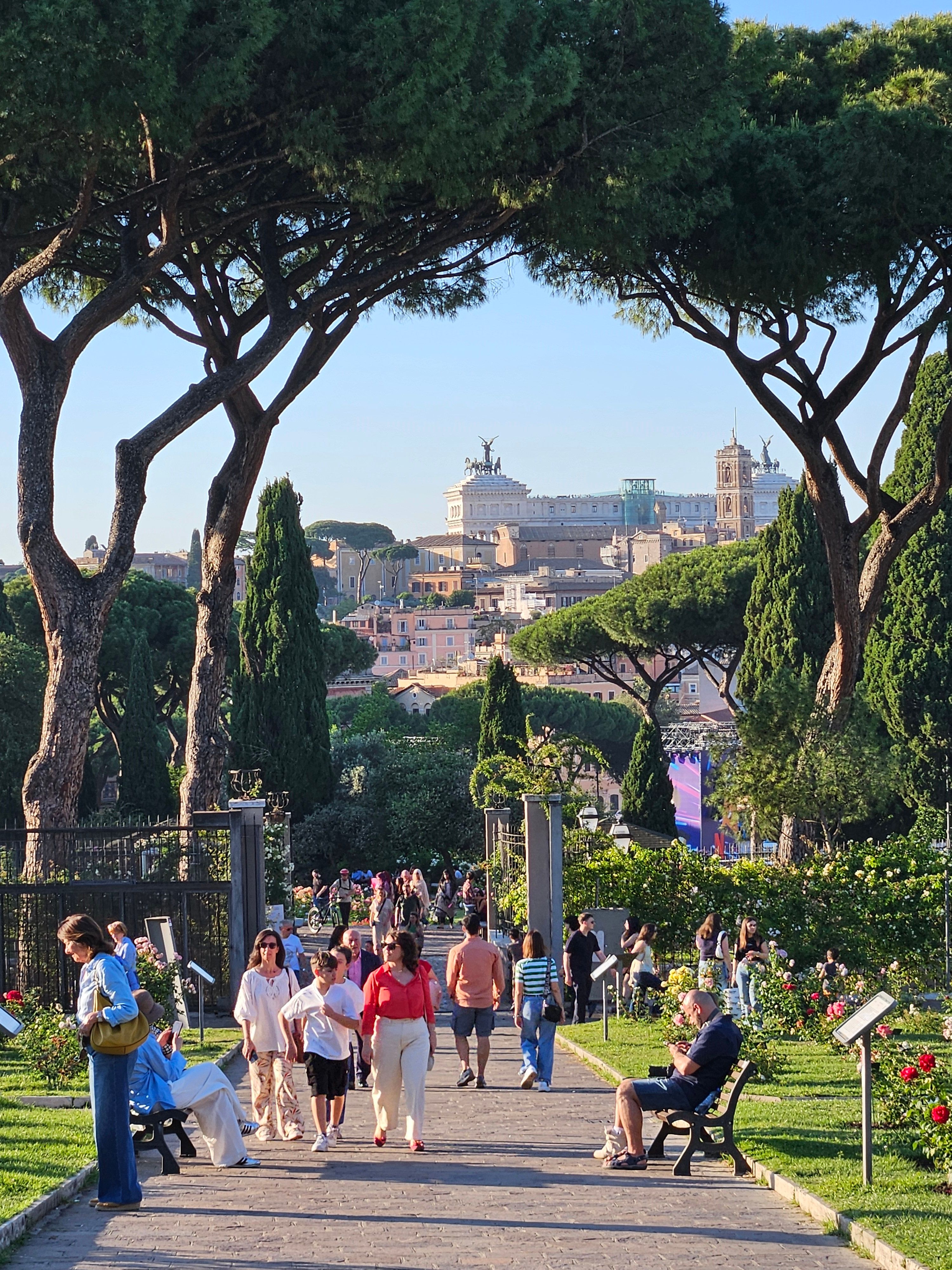 erasmus_roma_011.jpg