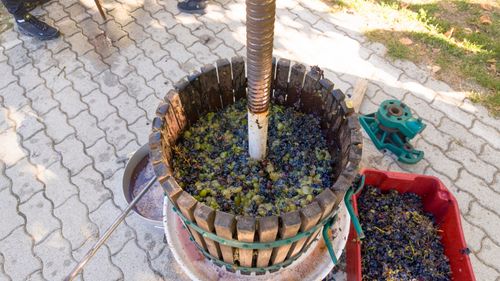szuret_20260923_002.jpg