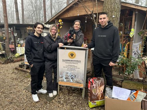 Állatoknak jótékonykodás